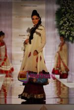 Model walks the ramp for Manish Malhotra at Aamby Valley India Bridal Week day 5 on 2nd Nov 2010 (76).JPG